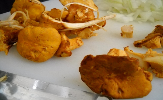 Mushroom Recipe : Chanterelle biscuits